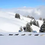 Ancolie Appartement La Plagne