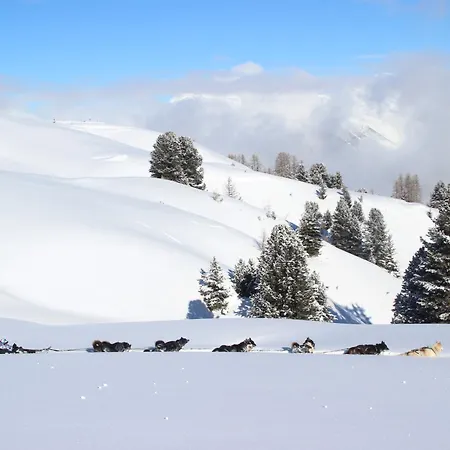 Ancolie Lägenhet La Plagne
